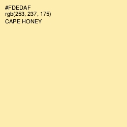 #FDEDAF - Cape Honey Color Image